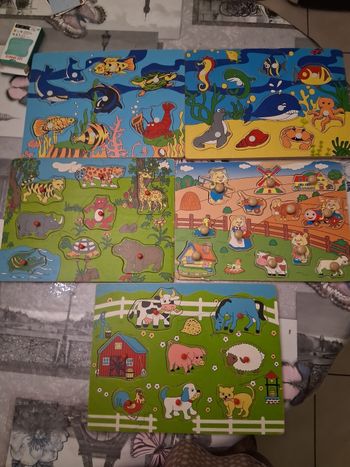 Lot de 5 puzzle