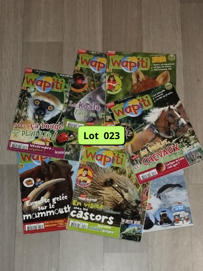 Lot de 7 magazines Wapiti année 2007-08 L023
