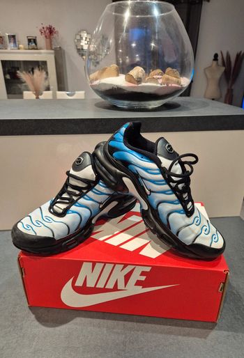 Nike Air Max Plus TN pointure 41