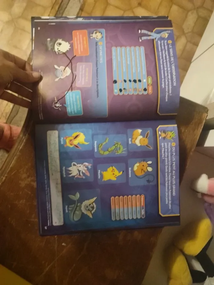 Livre cherche et trouve pokémon - photo numéro 5