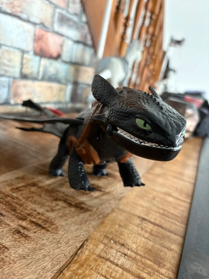 Dragon Krokmou - photo numéro 3