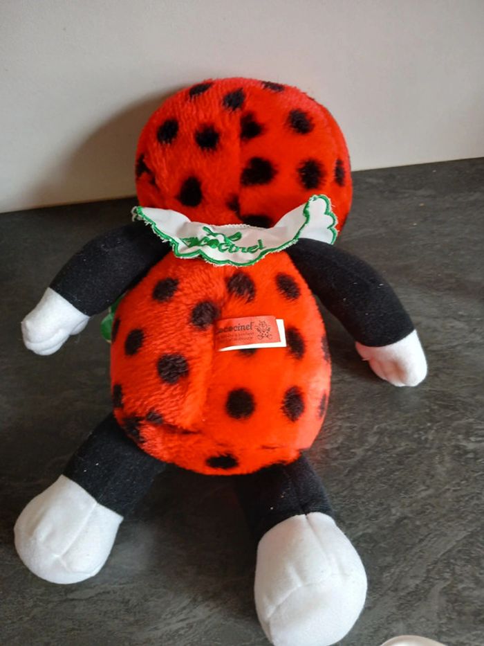 Cococinel - photo numéro 3