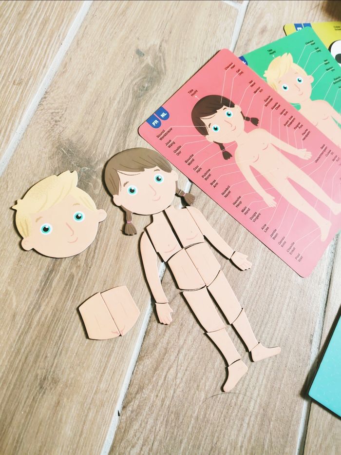 💪Coffret Montessori magnétique le Corp humain - photo numéro 2