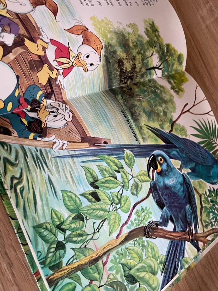 Au pays des singes - photo numéro 6