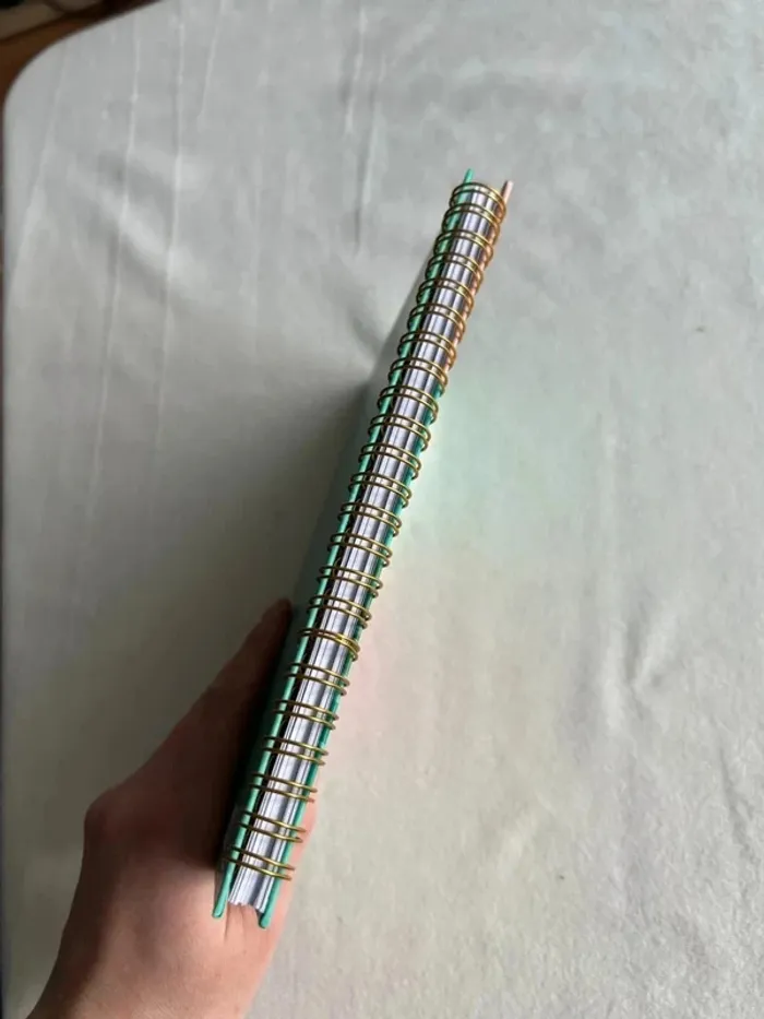 Agenda léopard - photo numéro 6