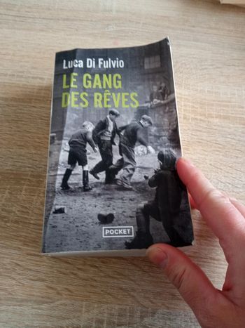 Le gang des reves- luca di fulvio
