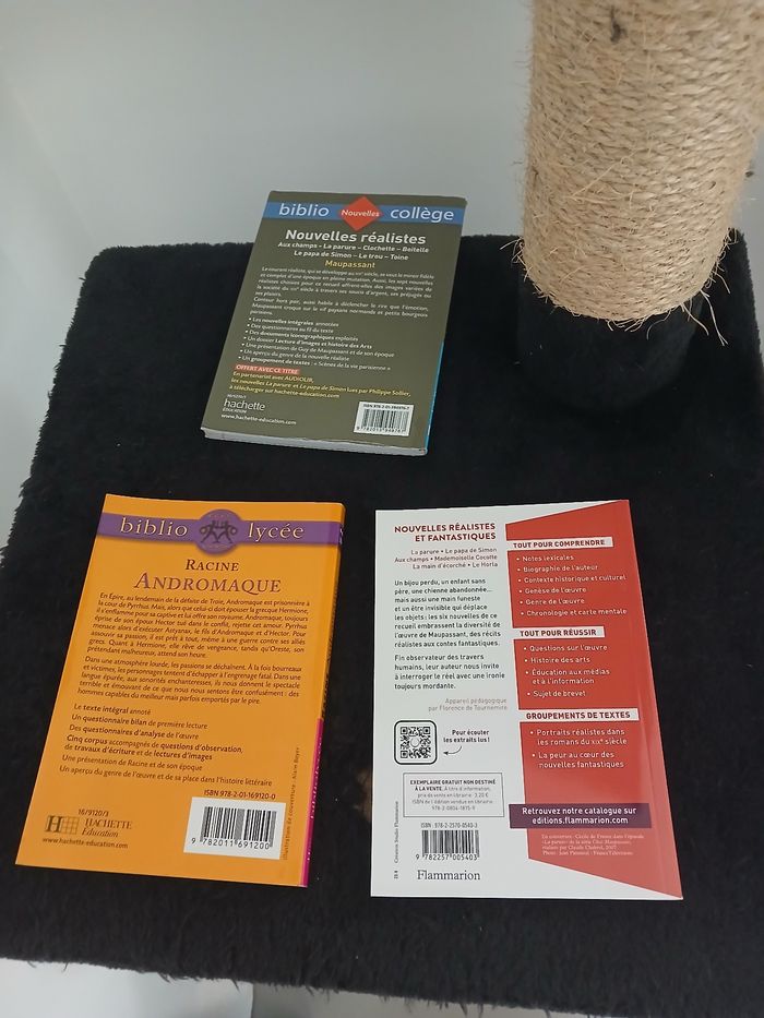 Lot de livres lycee/college - photo numéro 2