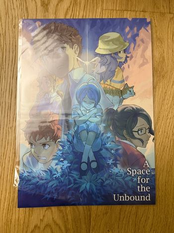 Poster du jeu A Space for the Unbound