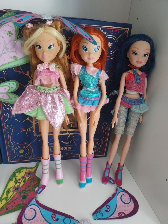 6 Poupées Winx Believix 1 Figurine Roxy Layla Musa Tecna Stella Flora et Bloom Believix Winx Club Witty Toys saison 4 Smoby - photo numéro 4