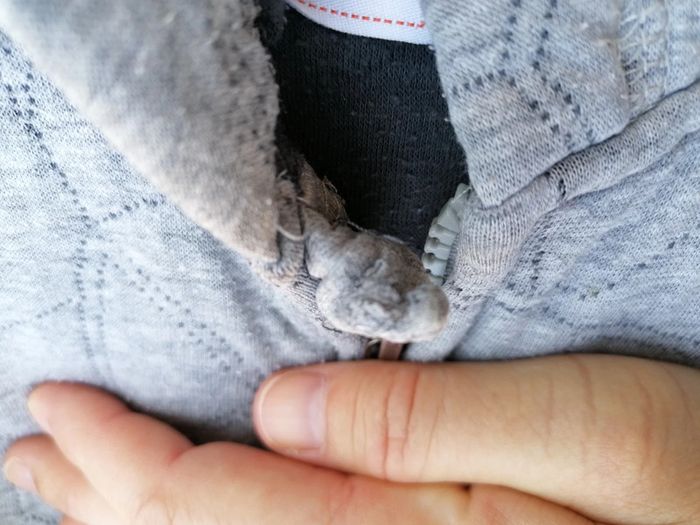 Veste TAO taille 3 ans grise - photo numéro 3