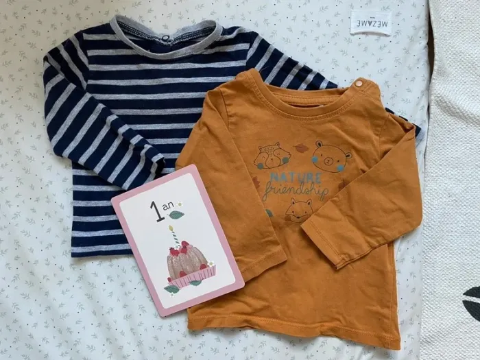 Lot 2 tee shirts manches longues coton 12 mois