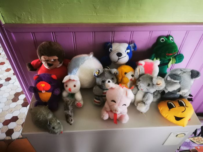 Peluches - photo numéro 4