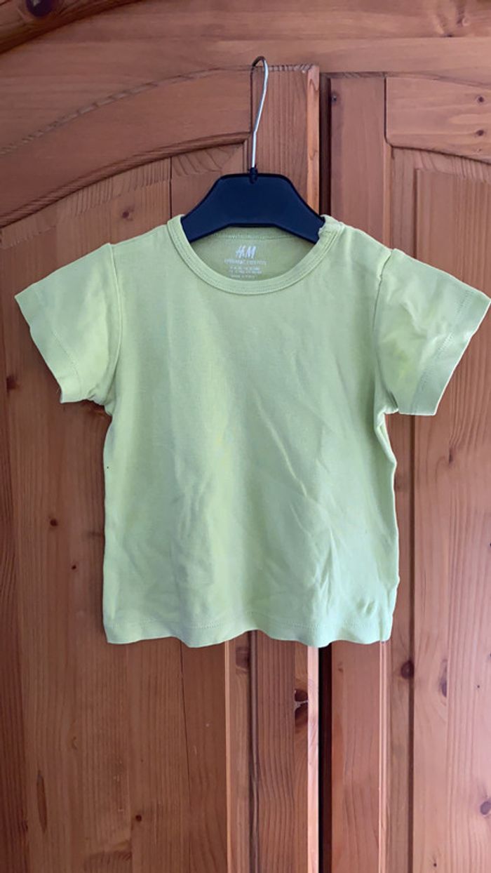 T shirt