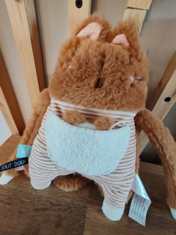 Chat tao avec sa poche et son bébé