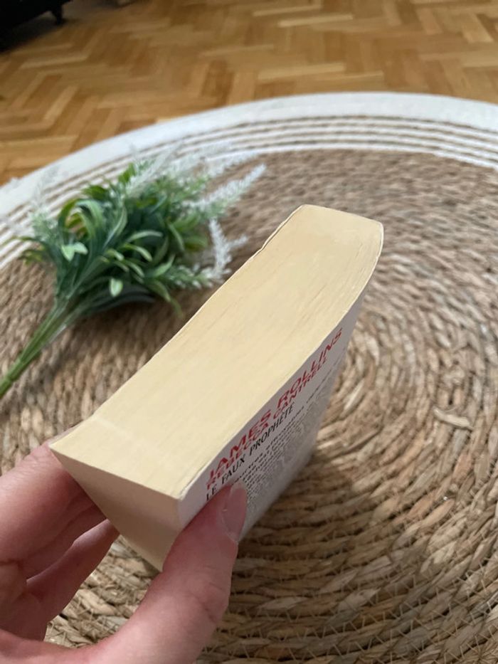 Livre - Le Faux Prophète - photo numéro 5