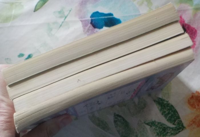 SWEET 16 Mary-Kate et Ashley Olsen Ed. Pocket Jeunesse - photo numéro 7