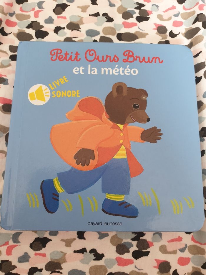 Petit ours brun et la météo livre sonore