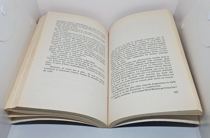 "Mimi Bluette", de Guido da Verona.
264 pages.
ISBN : 2.86418.184.3 - photo numéro 6