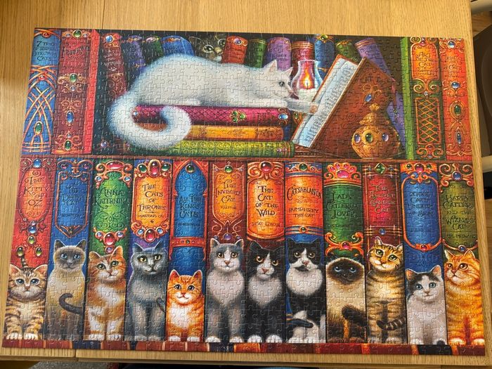 Superbe puzzle Cat bookshelf Bluebirdpuzzle