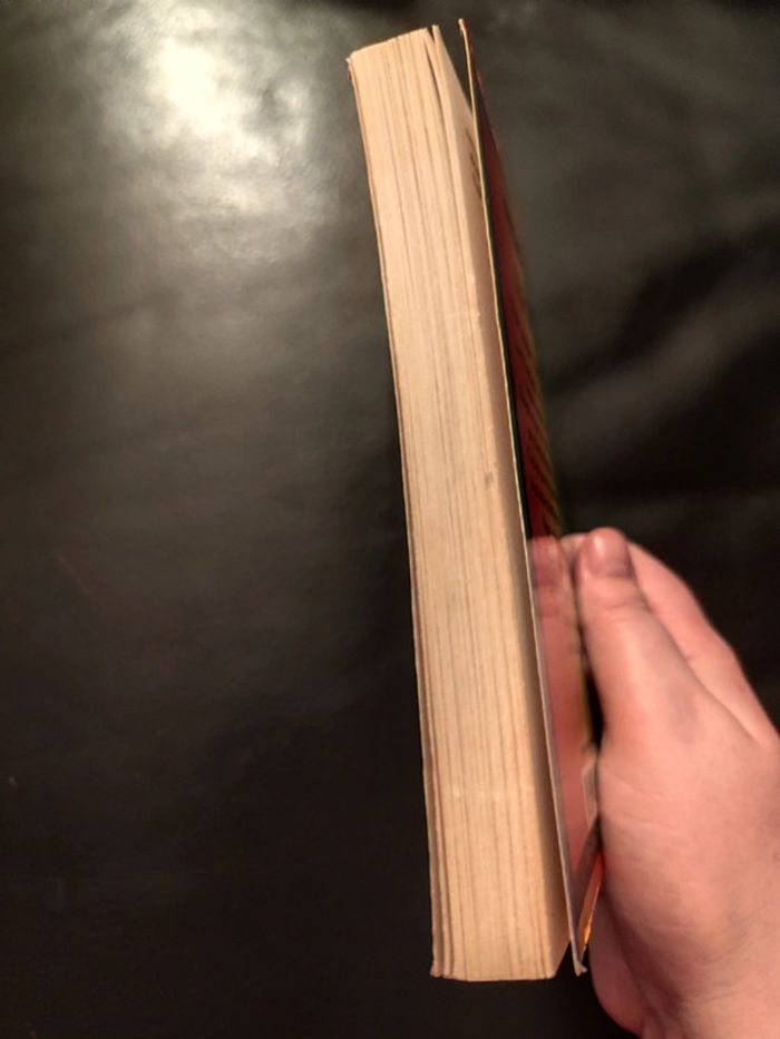 Livre un chien trop bavard - photo numéro 3