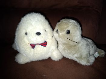 2 peluches phoque / otarie 