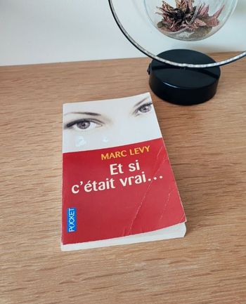 📚 Et si c'était vrai... - Marc Levy 📚