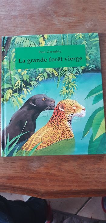 La grande forêt Vierge