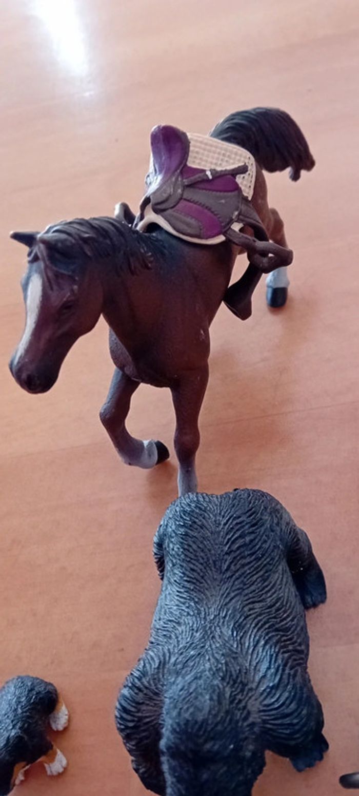 Chevaux - photo numéro 5