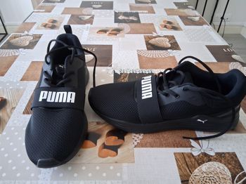 Basket Puma