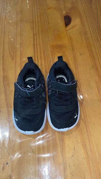 Basket Puma