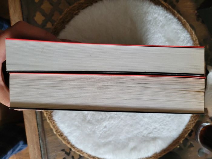 Les hommes qui n aimaient pas les femmes - photo numéro 8