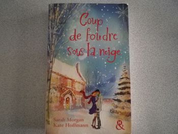 COUP DE FOUDRE SOUS LA NEIGE