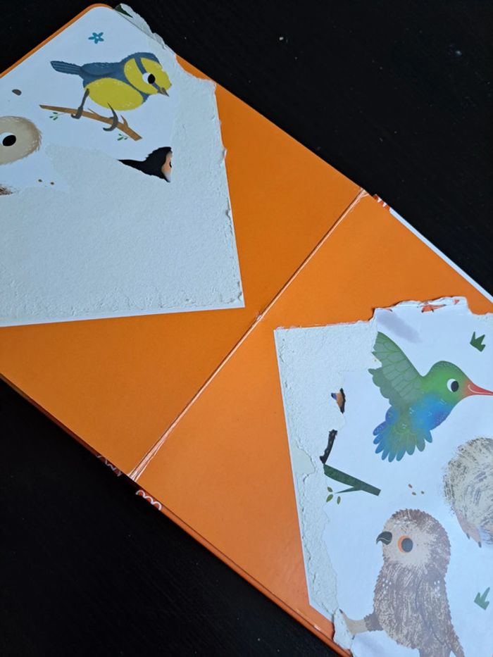 Bravo petit poussin - photo numéro 4