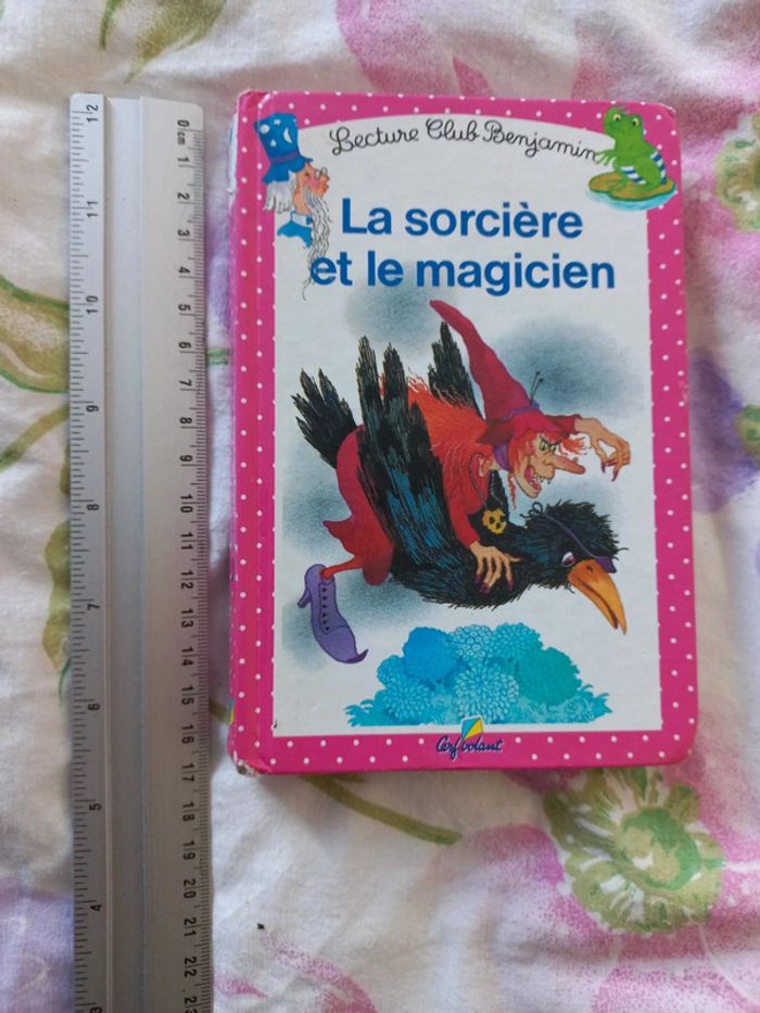 Livre la sorcière et le magicien