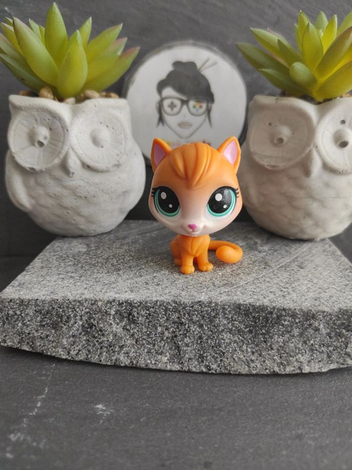Littlest Petshop LPS Pet Shop main coon NN 67 cat maincoon #geektradelpschat