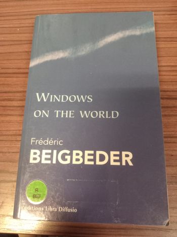 Frédéric beigbeder : Windows on the world