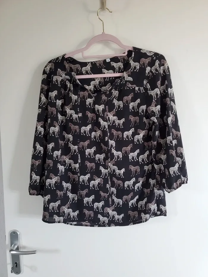 Blouse zèbres