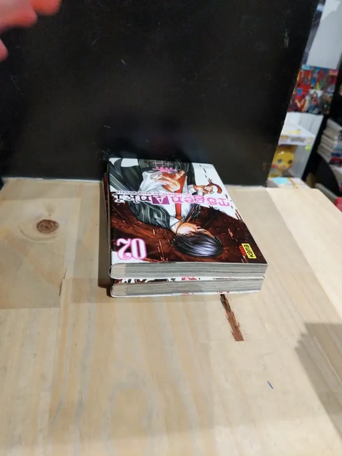 Tôgen Anki – Tomes 1 & 2 - photo numéro 4