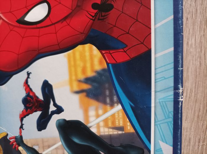 Puzzle Spider-Man - photo numéro 6