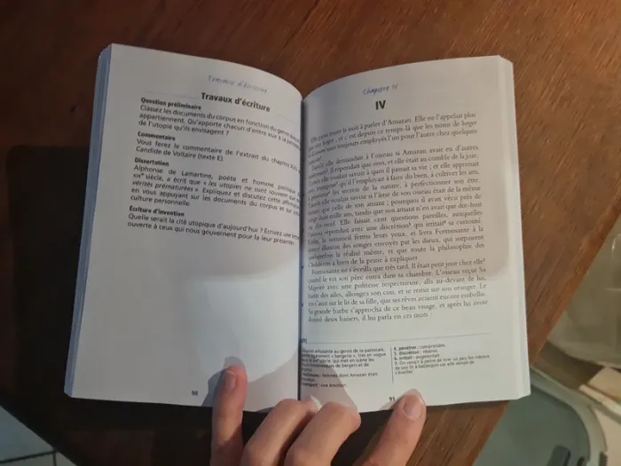 Livre biblio lycée La Princesse de Babylone de Voltaire - photo numéro 3