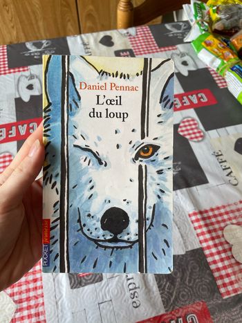 Livre l’œil du loup