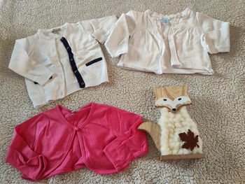 Lot de 3 vestes 12 mois