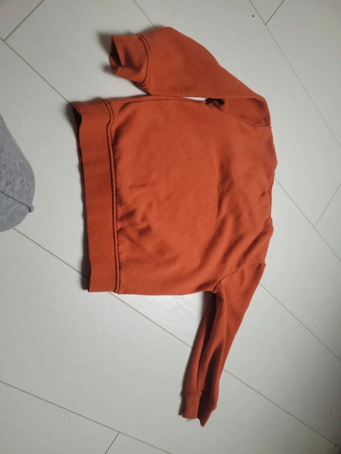 Pull gemo 6 ans - photo numéro 2