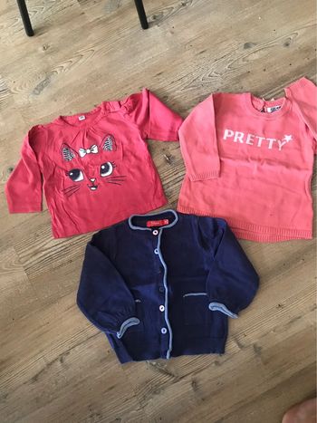 Lot 2 teeshirts et gilet