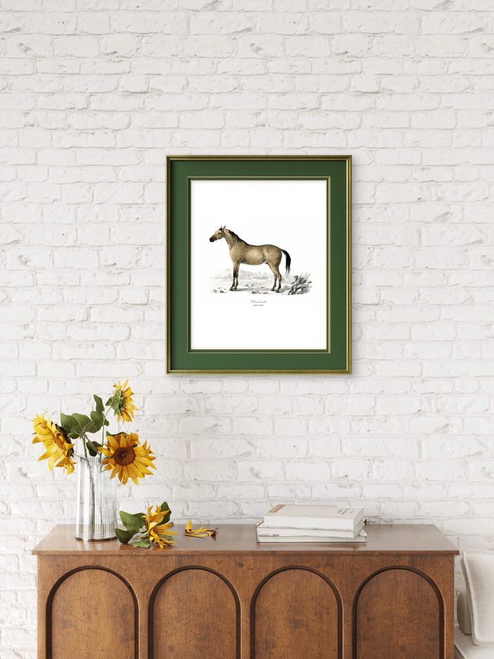 Affiche déco vintage Cheval - photo numéro 4