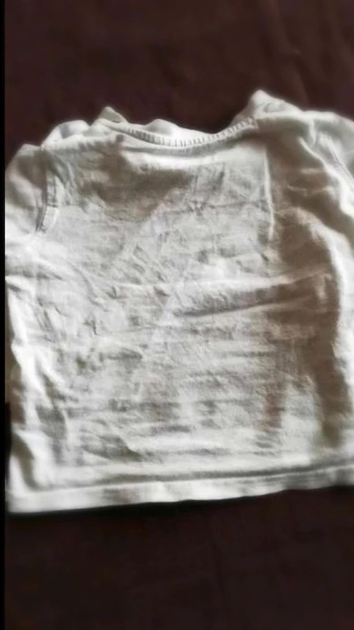 Tee  shirt p'tit loup - photo numéro 3