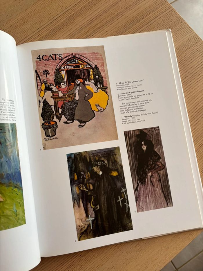 Livre Picasso - photo numéro 4