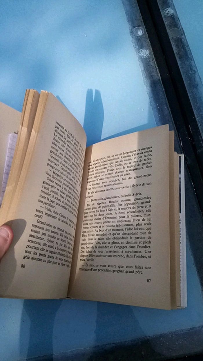 Viou academie française - photo numéro 5