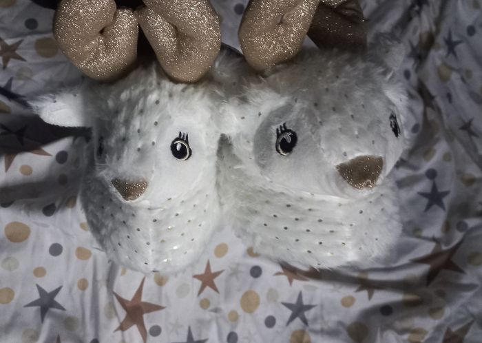 Chaussons Rennes taille 31 - photo numéro 2