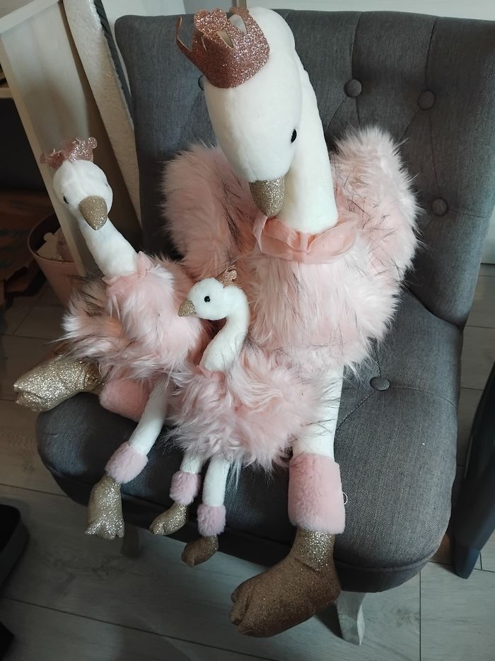 Cygnes histoire d'ours
